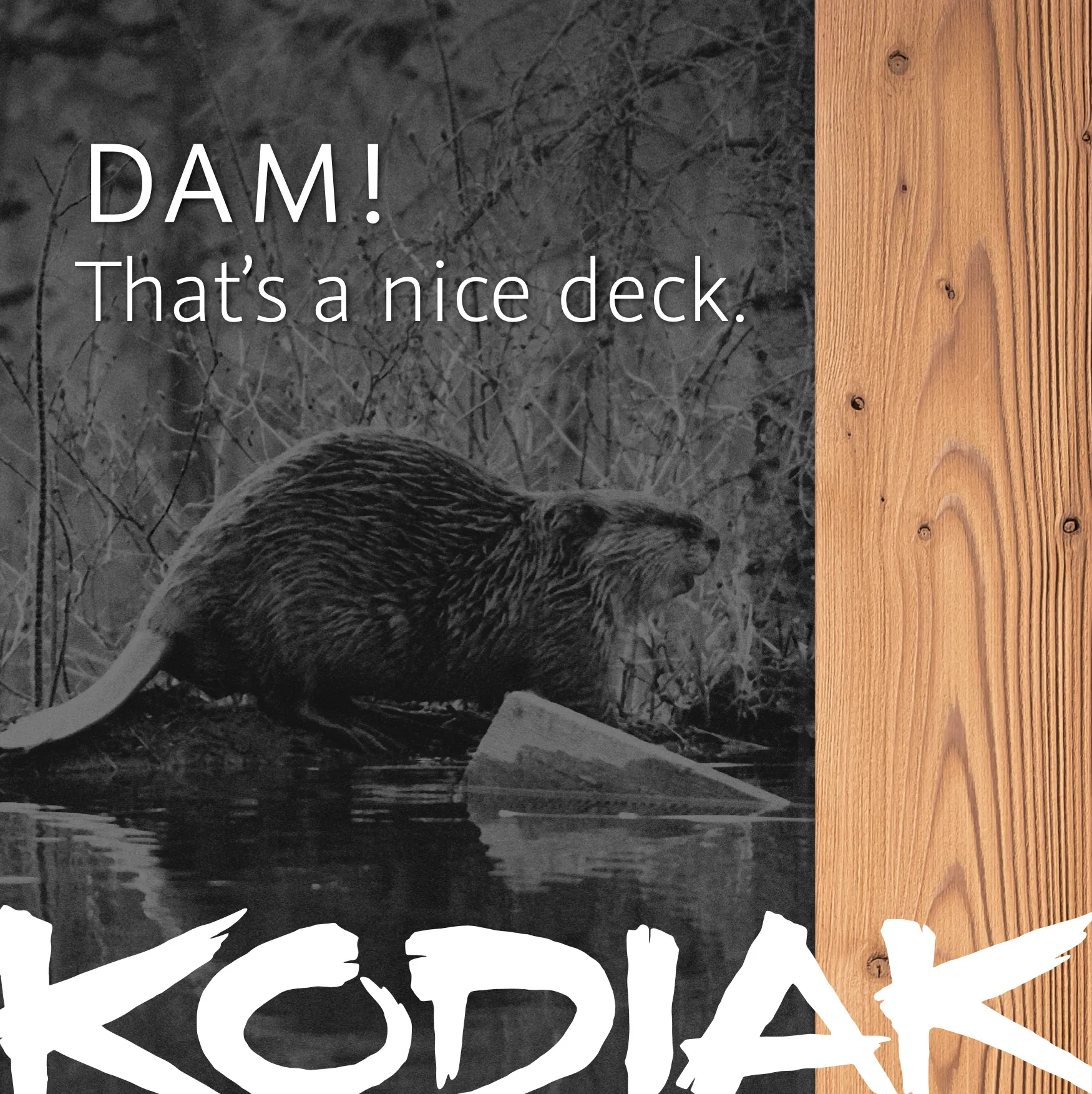 Building Materials Digital Marketing Campaign | Building Materials Marketing | Thermory Kodiak Digital Campaign | Social Media Advertising