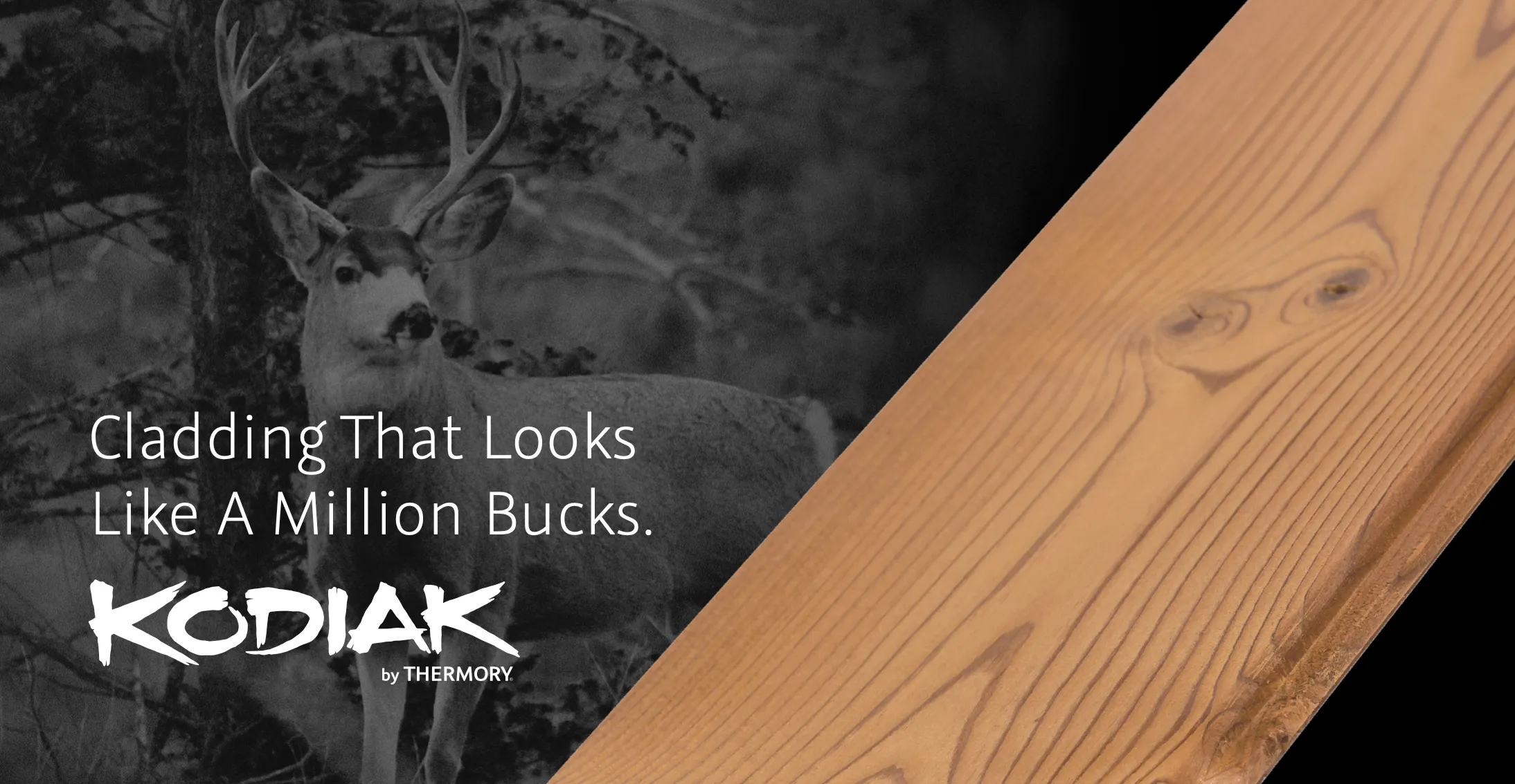 Building Materials Digital Marketing Campaign | Building Materials Marketing | Thermory Kodiak Digital Campaign | Social Media Advertising