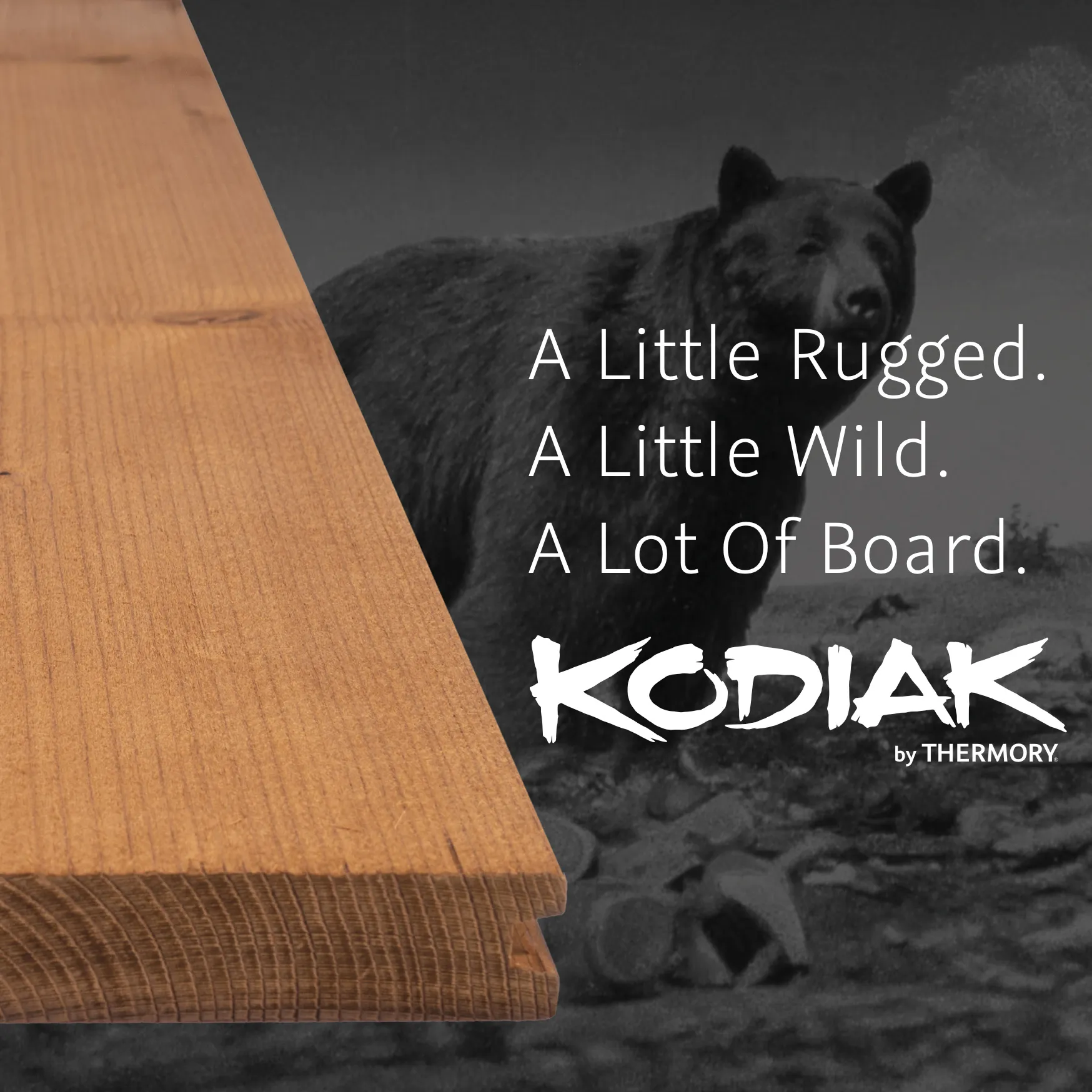 Building Materials Digital Marketing Campaign | Building Materials Marketing | Thermory Kodiak Digital Campaign | Social Media Advertising