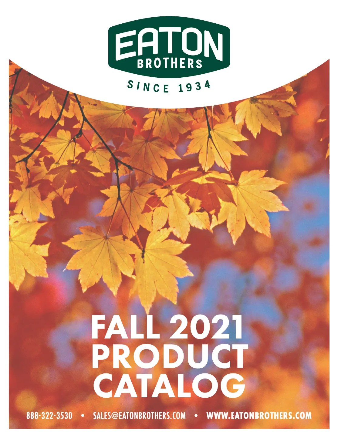 Eaton Brothers Brand Identity Catalog Design | Retail Branding