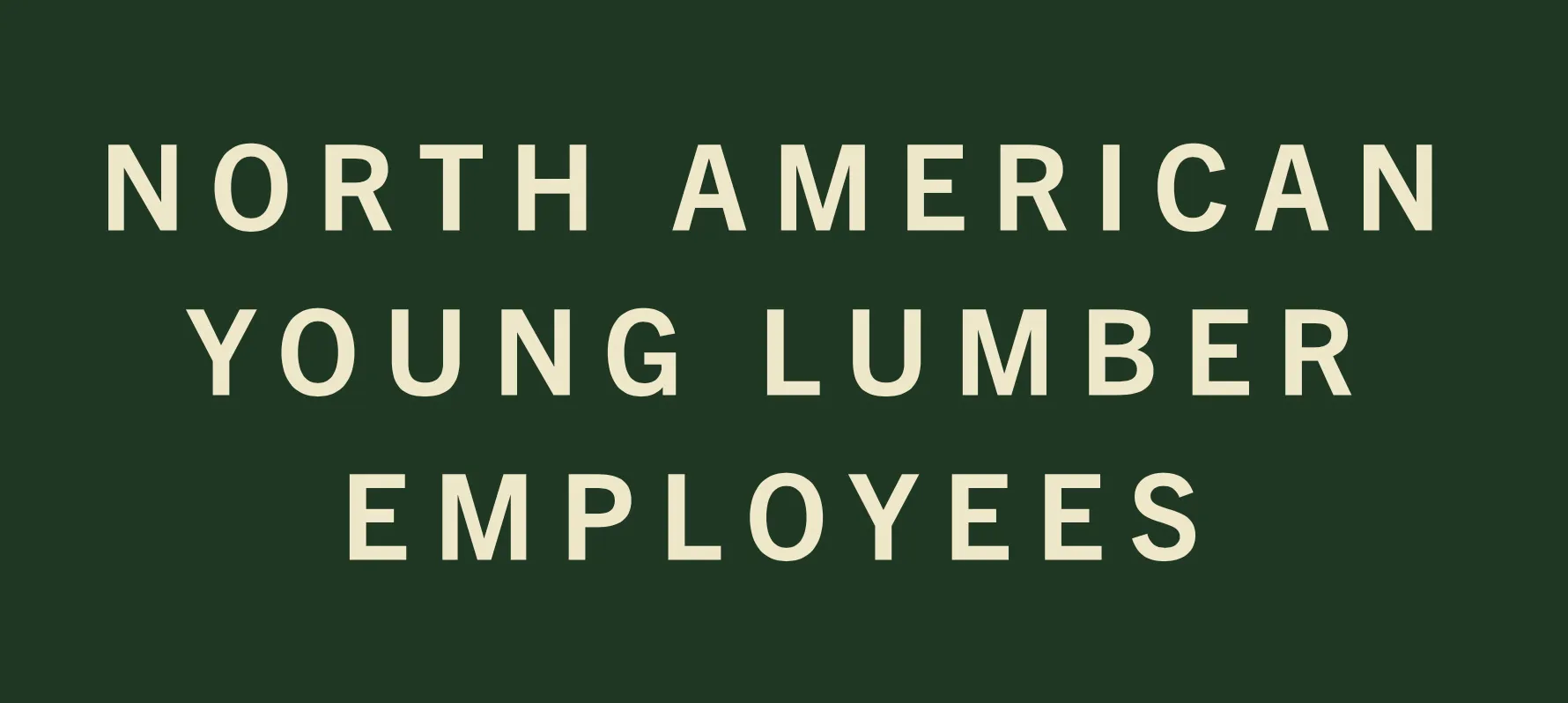NYLE Typographic Logo Design Lockup | Building Materials Logo Design | Building Materials Branding