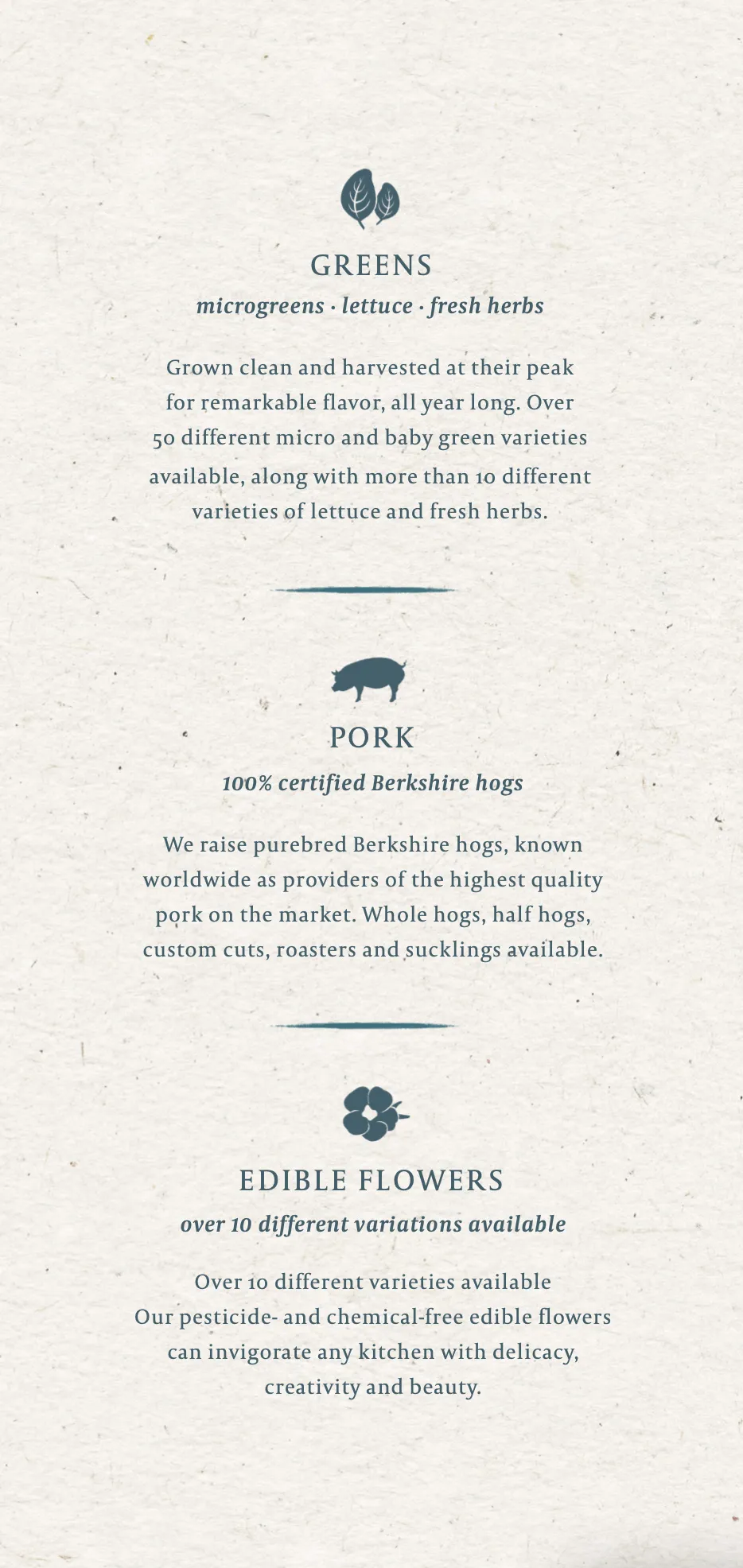 Pick'd Microgreens Produce Brochure Insert Design | Produce Graphic Design | Retail Graphic Design