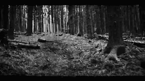 Thermory Kodiak Campaign Video | Building Materials Video Production | Building Materials Marketing Video Advertising