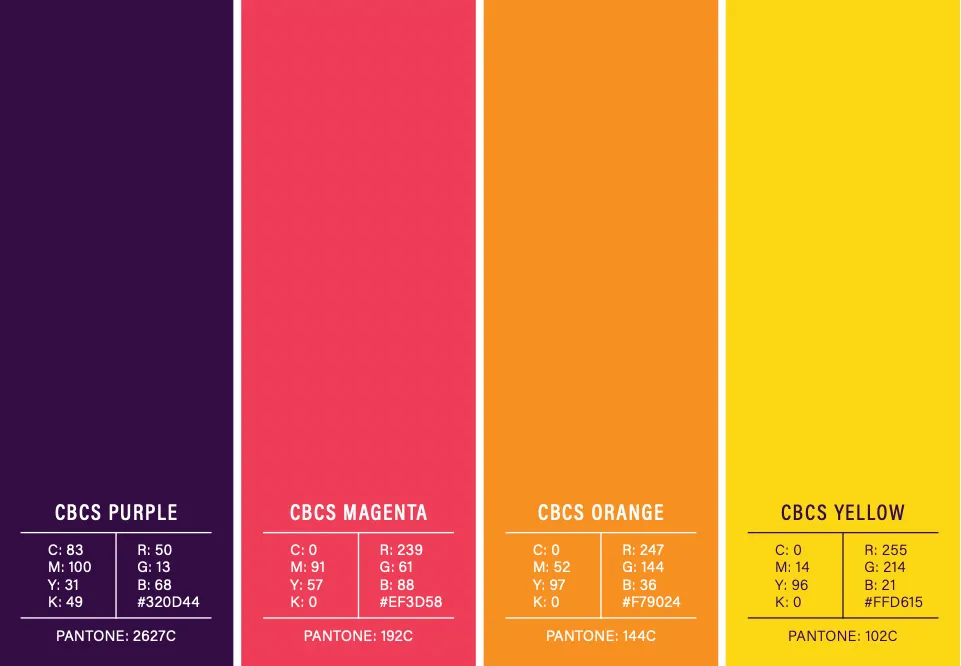 CBC Solutions Healthcare Brand Identity Color Palette