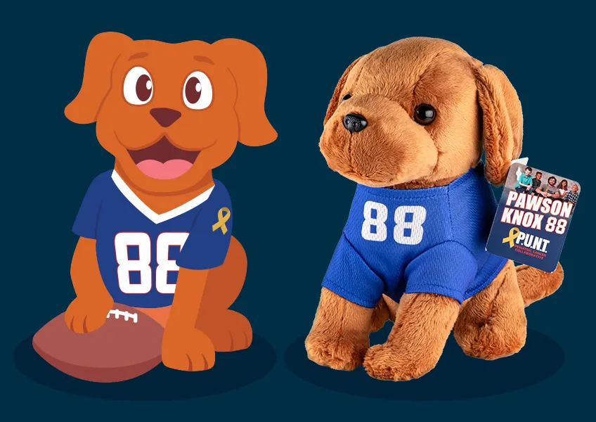 P.U.N.T. Pediatric Cancer Collaborative Pawson Knox Character Illustration | Plush Design | Non-Profit Graphic Design