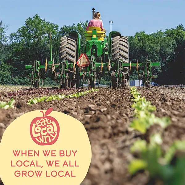 Eat Local WNY | Digital Marketing Campaign | Campaign Copywriting