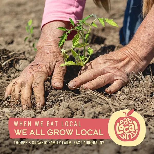 Eat Local WNY | Digital Marketing Campaign | Campaign Creative