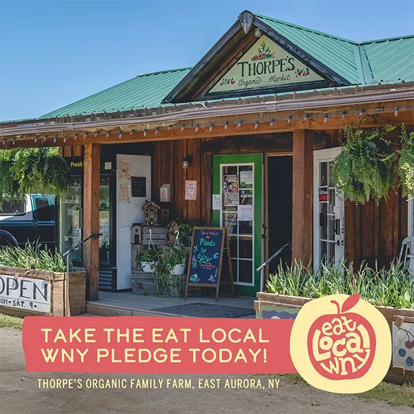 Eat Local WNY | Marketing Campaign | Photography & Video | Social Media Campaign