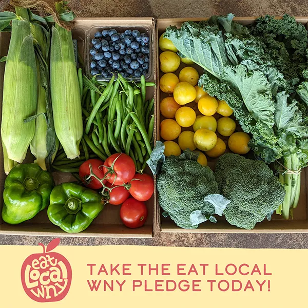 Eat Local WNY | Digital Marketing Campaign | Social Media Campaign Creative