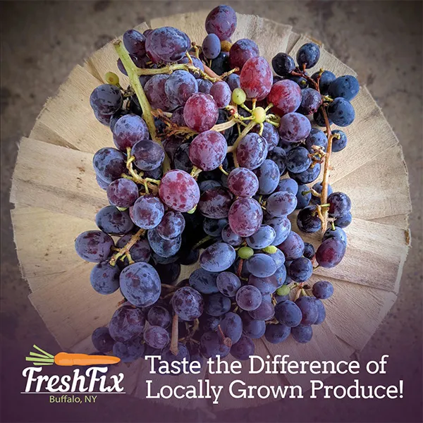 FreshFix Seasonal Marketing Campaign Design | Social Media Marketing