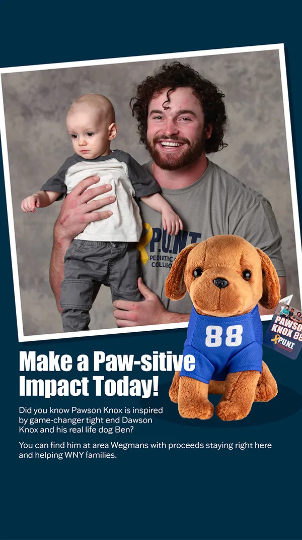 PUNT Pawson Knox Campaign Creative | Illustration