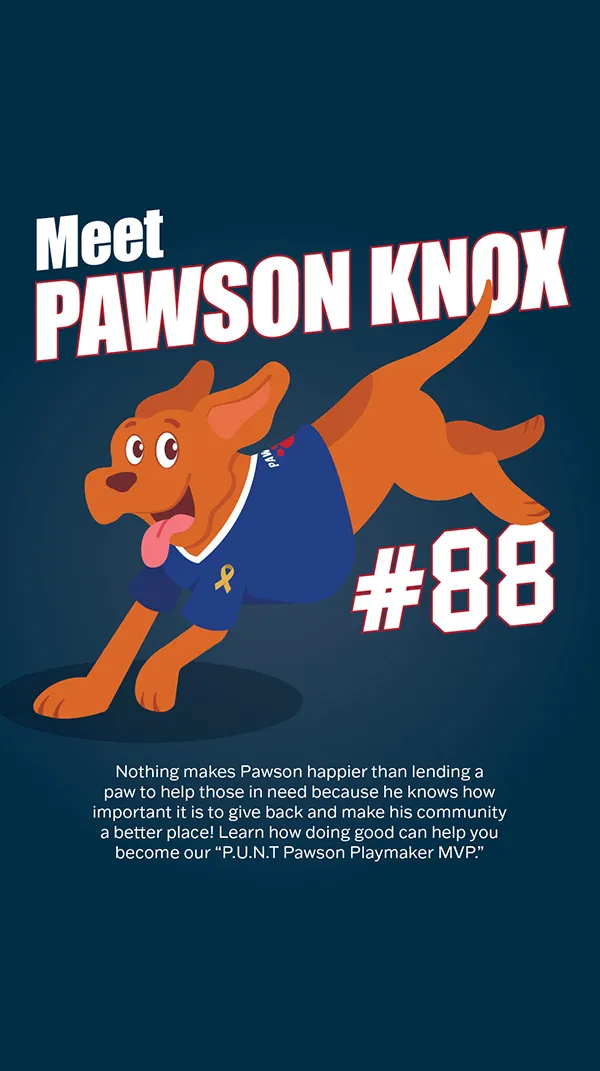 PUNT Pawson Knox Social Media Fundraising Campaign Design